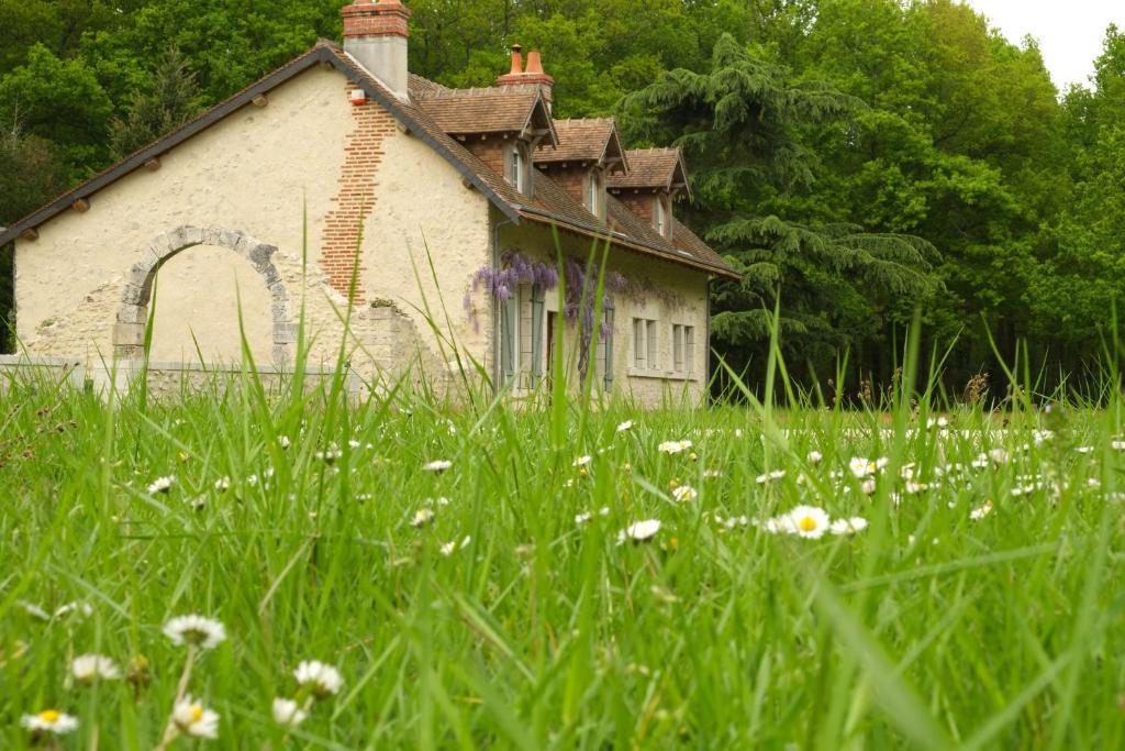 Bed and Breakfast Chambre D'Hotes Domaine De La Pepiniere Chouzy-sur-Cisse Exterior foto